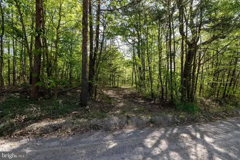 Cross Creek Road Luray VA 22835