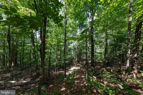 0 Helms Road Stanley VA 22851