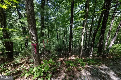 0 Helms Road Stanley VA 22851