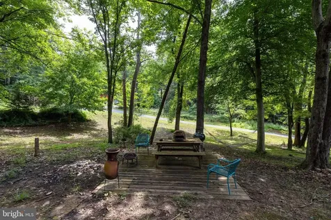 160 Piney Knoll Place Shenandoah VA 22849