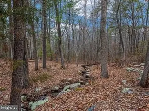 184 Whippoorwill Lane Luray VA 22835