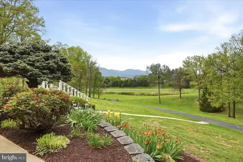 100 Cottage Drive Luray VA 22835