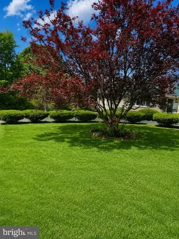368 Old Farm Road Luray VA 22835