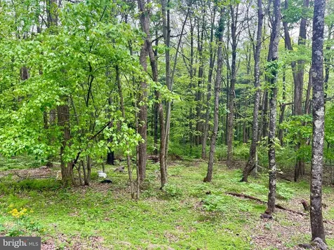 536 Circle Drive Stanley VA 22851