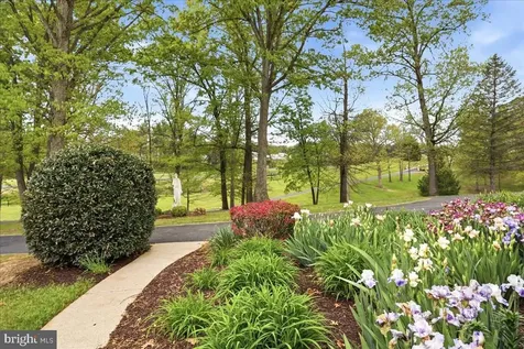 50 Cottage Drive Luray VA 22835