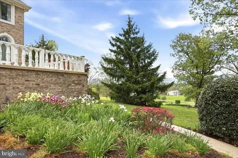 50 Cottage Drive Luray VA 22835