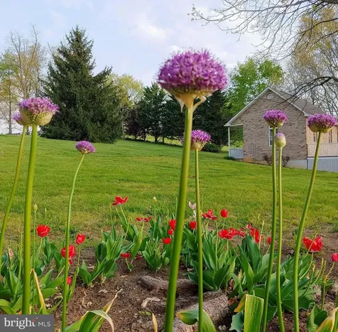 50 Cottage Drive Luray VA 22835