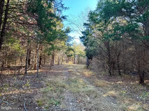 Harper Valley Lot 9a Site 2 Luray VA 22835