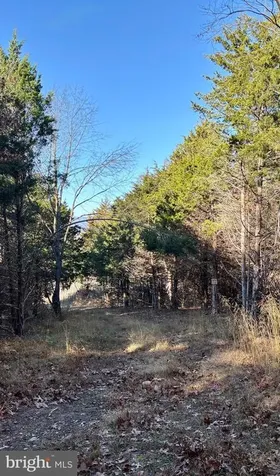 Harper Valley Lot 9a Site 2 Luray VA 22835