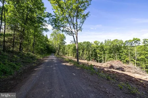 0 Cross Mountain Road Luray VA 22835