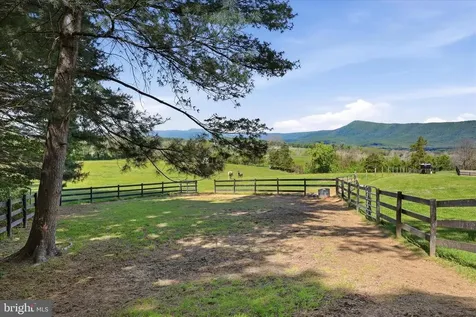 338 Springfield Estates Drive Rileyville VA 22650