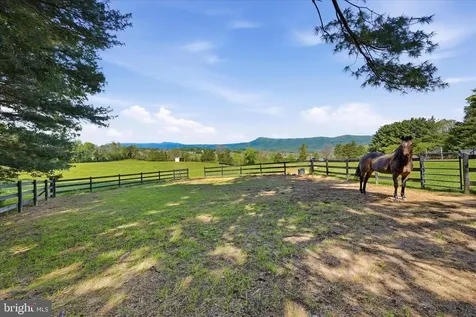 338 Springfield Estates Drive Rileyville VA 22650