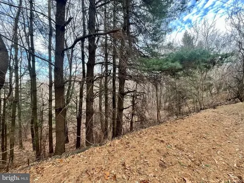347 Restmore Lane Stanley VA 22851
