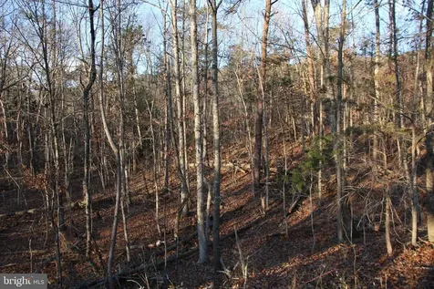 Lookout Drive Shenandoah VA 22849