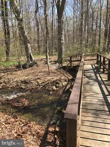 550 Cross Mountain Road Luray VA 22835