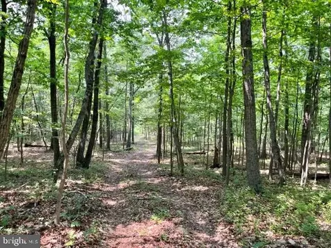 2016 Vaughn Summit Road Luray VA 22835