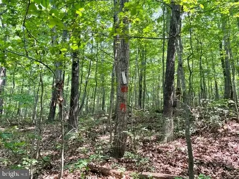 2016 Vaughn Summit Road Luray VA 22835