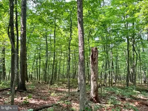 2016 Vaughn Summit Road Luray VA 22835