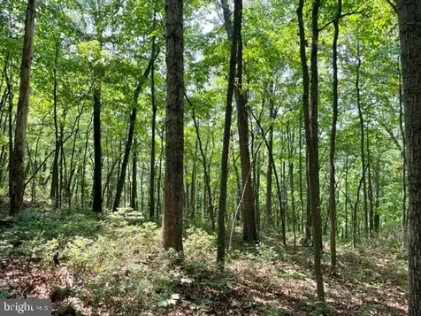 2016 Vaughn Summit Road Luray VA 22835