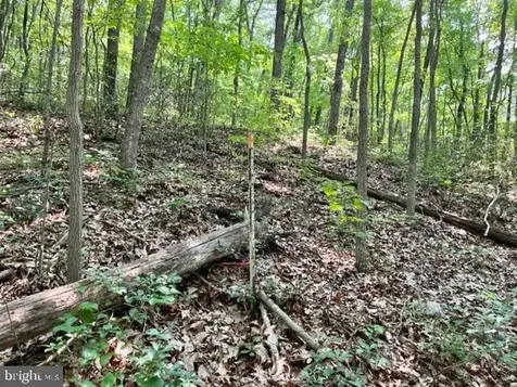 2016 Vaughn Summit Road Luray VA 22835
