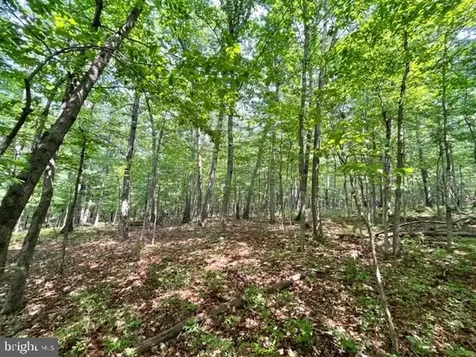 2016 Vaughn Summit Road Luray VA 22835