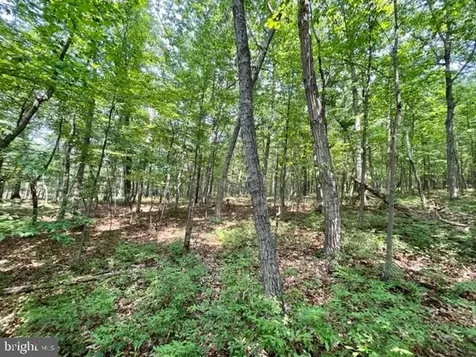 2016 Vaughn Summit Road Luray VA 22835