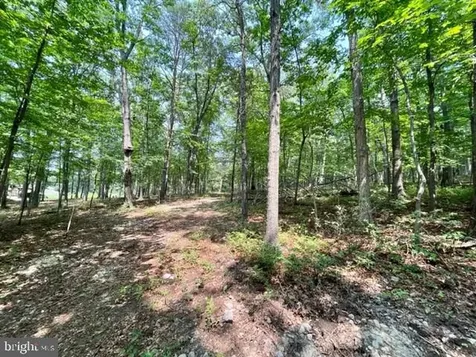 2016 Vaughn Summit Road Luray VA 22835