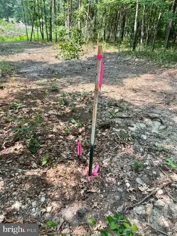 2016 Vaughn Summit Road Luray VA 22835