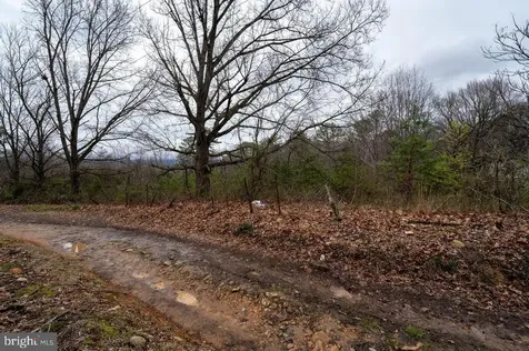 533 Railroad Avenue Shenandoah VA 22849