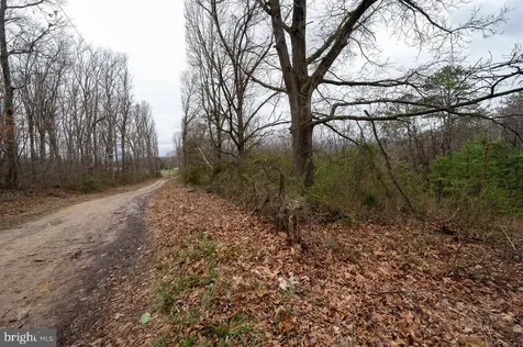 533 Railroad Avenue Shenandoah VA 22849