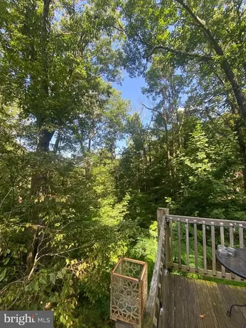568 Cliff Heights Road Stanley VA 22851