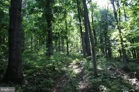 Baxter Drive Stanley VA 22851
