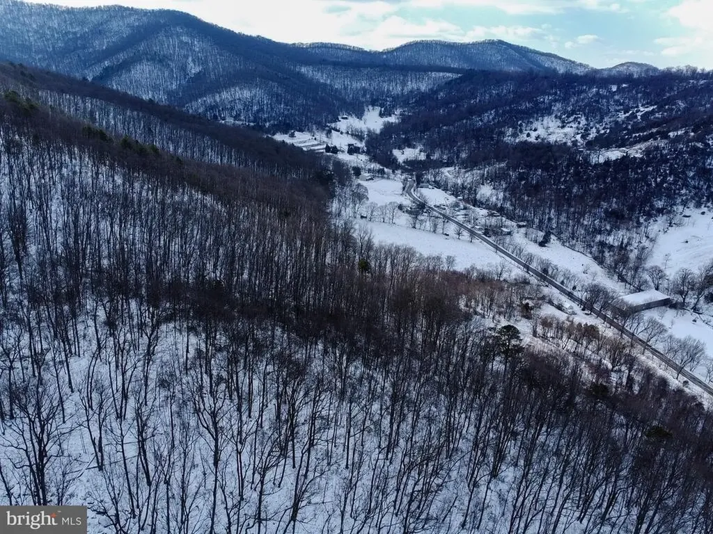 Cubbage Hollow Road, Lot 75 - 40.55 Acres Stanley VA 22851