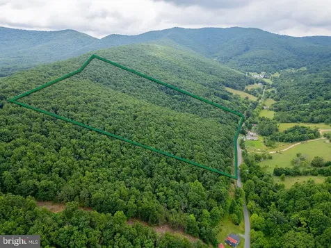 Cubbage Hollow Road, Lot 75 - 40.55 Acres Stanley VA 22851