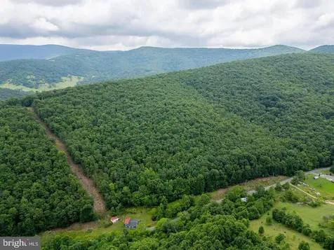 Cubbage Hollow Road, Lot 75 - 40.55 Acres Stanley VA 22851