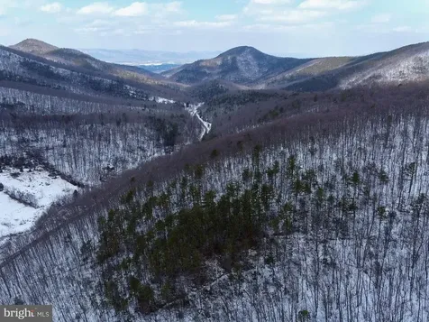 Cubbage Hollow Road, Lot 75 - 40.55 Acres Stanley VA 22851