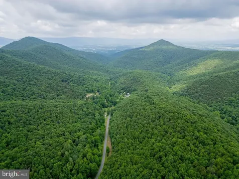 Cubbage Hollow Road, Lot 75 - 40.55 Acres Stanley VA 22851