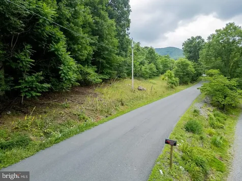 Cubbage Hollow Road, Lot 75 - 40.55 Acres Stanley VA 22851