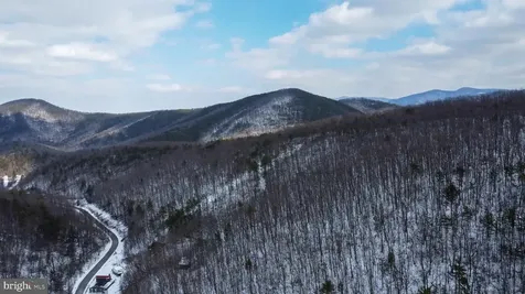 Cubbage Hollow Road, Lot 75 - 40.55 Acres Stanley VA 22851