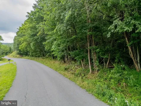 Cubbage Hollow Road, Lot 75 - 40.55 Acres Stanley VA 22851