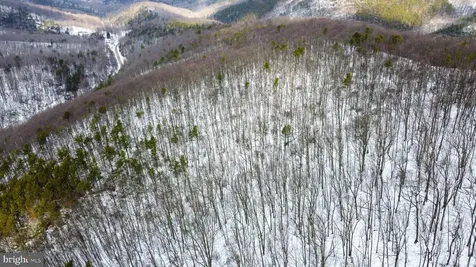 Cubbage Hollow Road, Lot 75 - 40.55 Acres Stanley VA 22851