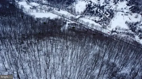 Cubbage Hollow Road, Lot 75 - 40.55 Acres Stanley VA 22851