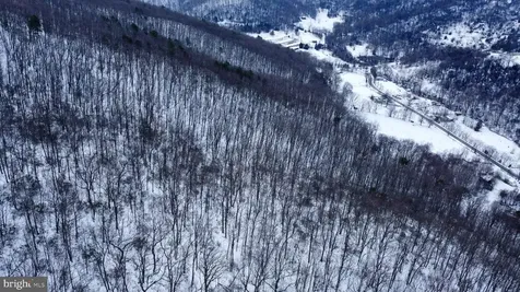 Cubbage Hollow Road, Lot 75 - 40.55 Acres Stanley VA 22851