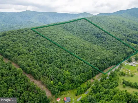 Cubbage Hollow Road, Lot 75 - 40.55 Acres Stanley VA 22851