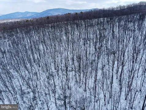 Cubbage Hollow Road, Lot 75 - 40.55 Acres Stanley VA 22851