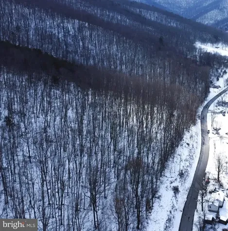 Cubbage Hollow Road, Lot 75 - 40.55 Acres Stanley VA 22851