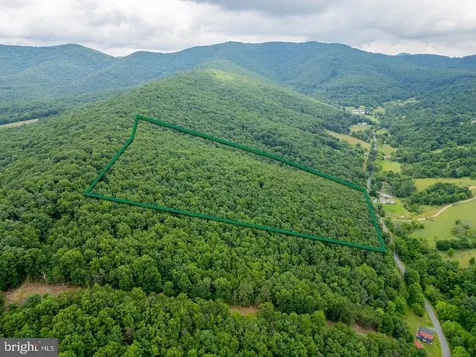 Cubbage Hollow Road, Lot 75 - 40.55 Acres Stanley VA 22851