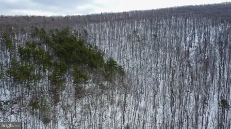 Cubbage Hollow Road, Lot 75 - 40.55 Acres Stanley VA 22851