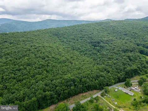 Cubbage Hollow Road, Lot 75 - 40.55 Acres Stanley VA 22851
