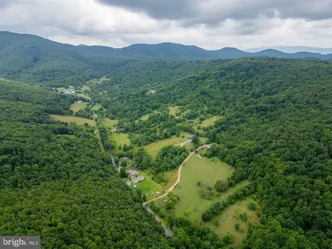 Cubbage Hollow Road, Lot 75 - 40.55 Acres Stanley VA 22851
